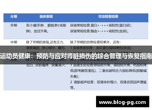运动员健康：预防与应对肾脏损伤的综合管理与恢复指南